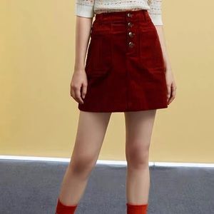 Zara Skirt